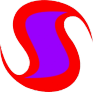 Sarwar Sons company logo