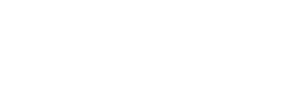Paige company logo