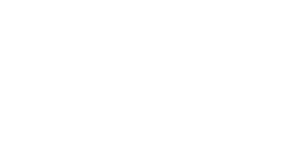 Viz.ai company logo